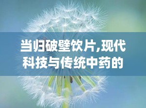 当归破壁饮片,现代科技与传统中药的完美结合