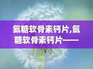 氨糖软骨素钙片,氨糖软骨素钙片——全面解析其成分、功效与适用人群