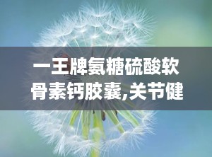 一王牌氨糖硫酸软骨素钙胶囊,关节健康守护神，骨骼强健的黄金搭档
