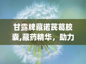 甘露牌藏诺芪葛胶囊,藏药精华，助力血糖健康