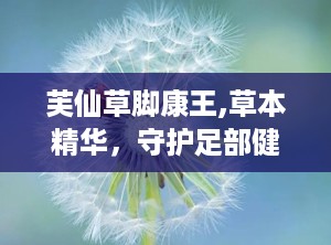 芙仙草脚康王,草本精华，守护足部健康之道