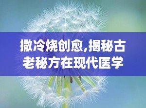 撒冷烧创愈,揭秘古老秘方在现代医学中的应用与疗效