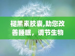 褪黑素胶囊,助您改善睡眠，调节生物钟的天然良方