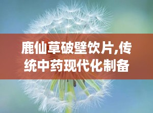 鹿仙草破壁饮片,传统中药现代化制备工艺与功效解析