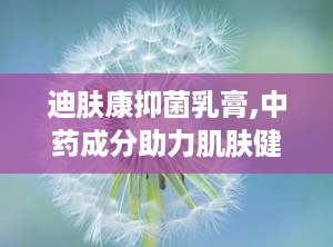 迪肤康抑菌乳膏,中药成分助力肌肤健康，专业抑菌护理新选择”