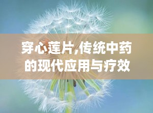 穿心莲片,传统中药的现代应用与疗效解析