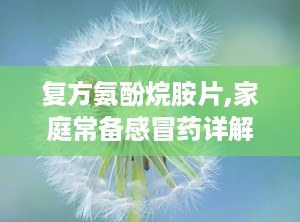复方氨酚烷胺片,家庭常备感冒药详解与使用指南