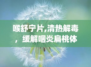 喉舒宁片,清热解毒，缓解咽炎扁桃体炎的中医良药