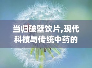 当归破壁饮片,现代科技与传统中药的完美结合