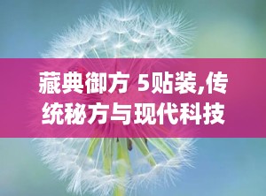 藏典御方 5贴装,传统秘方与现代科技的完美融合
