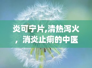 炎可宁片,清热泻火，消炎止痢的中医良药