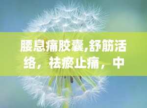 腰息痛胶囊,舒筋活络，祛瘀止痛，中医治疗风湿骨病的良药