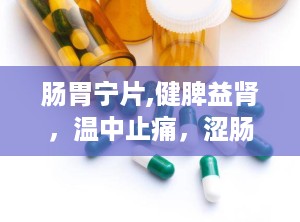 肠胃宁片,健脾益肾，温中止痛，涩肠止泻的胃肠疾病良药