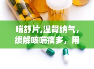 喘舒片,温肾纳气，缓解咳喘痰多，用药指南与注意事项