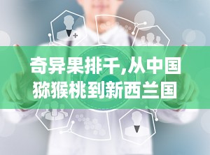 奇异果排千,从中国猕猴桃到新西兰国宝的传奇之旅”