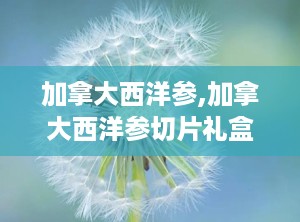 加拿大西洋参,加拿大西洋参切片礼盒装旗修堂
