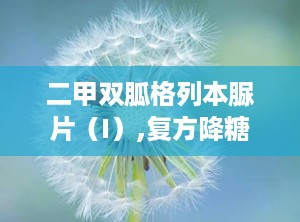 二甲双胍格列本脲片（I）,复方降糖药，二型糖尿病的二线治疗选择