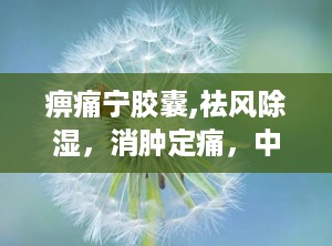 痹痛宁胶囊,祛风除湿，消肿定痛，中医秘方助力关节健康