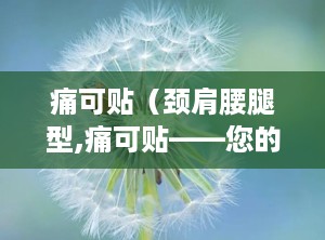 痛可贴（颈肩腰腿型,痛可贴——您的健康守护神