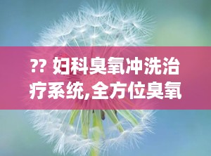 ?? 妇科臭氧冲洗治疗系统,全方位臭氧冲洗治疗系统解析”