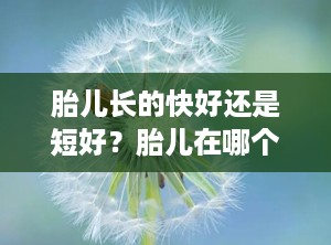 胎儿长的快好还是短好？胎儿在哪个月长得最快孕妈应该怎么做呢