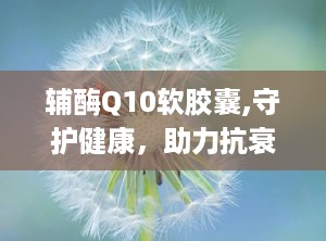 辅酶Q10软胶囊,守护健康，助力抗衰老与心脏健康的秘密武器