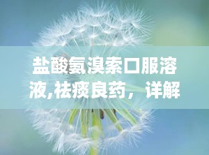 盐酸氨溴索口服溶液,祛痰良药，详解其作用、用法与注意事项