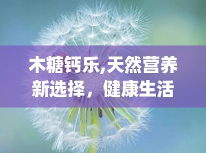 木糖钙乐,天然营养新选择，健康生活新伴侣
