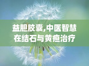 益胆胶囊,中医智慧在结石与黄疸治疗中的应用