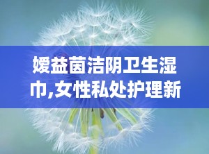 嫒益茵洁阴卫生湿巾,女性私处护理新选择，守护女性健康生活”