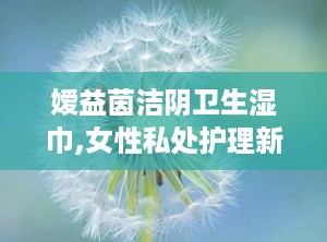嫒益茵洁阴卫生湿巾,女性私处护理新选择，守护女性健康生活”