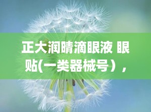 正大润晴滴眼液 眼贴(一类器械号）,正大润晴滴眼液 眼贴，缓解眼部不适，呵护视力健康”