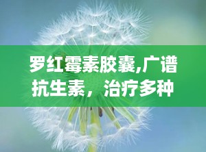 罗红霉素胶囊,广谱抗生素，治疗多种感染性疾病的选择
