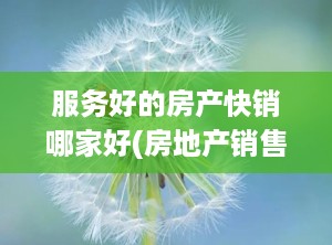 服务好的房产快销哪家好(房地产销售软件哪个好用)
