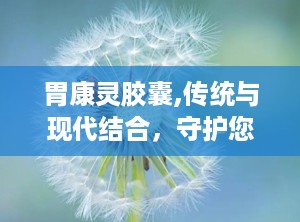 胃康灵胶囊,传统与现代结合，守护您的胃健康