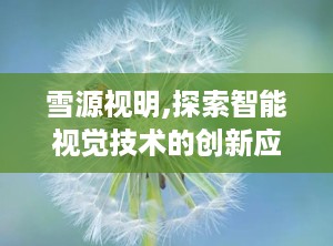 雪源视明,探索智能视觉技术的创新应用与未来展望
