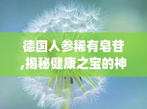德国人参稀有皂苷,揭秘健康之宝的神奇功效与市场前景