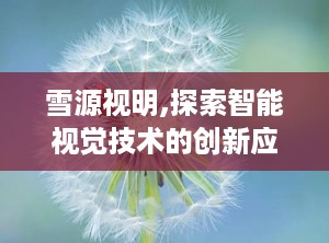 雪源视明,探索智能视觉技术的创新应用与未来展望