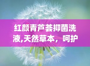 红颜青芦荟抑菌洗液,天然草本，呵护女性健康新选择”
