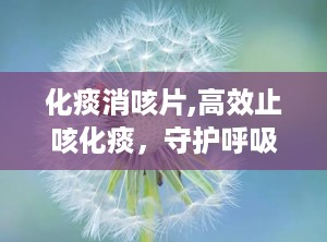 化痰消咳片,高效止咳化痰，守护呼吸健康