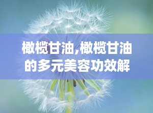 橄榄甘油,橄榄甘油的多元美容功效解析”
