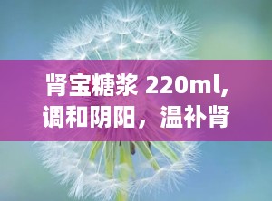 肾宝糖浆 220ml,调和阴阳，温补肾阳，守护健康之道