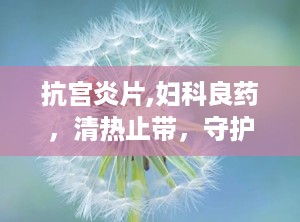 抗宫炎片,妇科良药，清热止带，守护女性健康