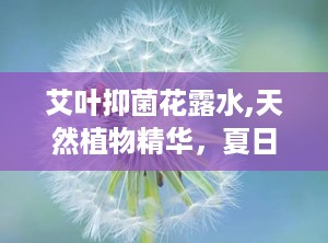 艾叶抑菌花露水,天然植物精华，夏日防护新选择