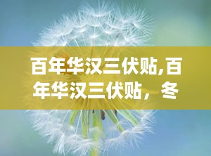 百年华汉三伏贴,百年华汉三伏贴，冬病夏治，健康一夏
