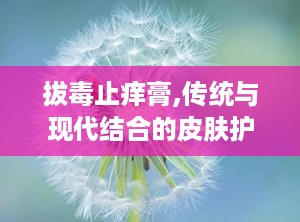 拔毒止痒膏,传统与现代结合的皮肤护理良方