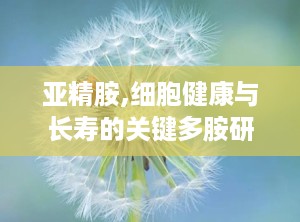 亚精胺,细胞健康与长寿的关键多胺研究进展