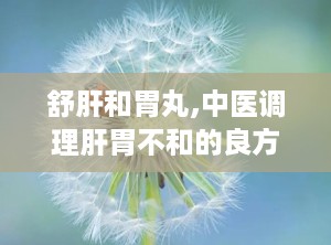 舒肝和胃丸,中医调理肝胃不和的良方解析”