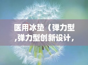 医用冰垫（弹力型,弹力型创新设计，助力康复与舒适体验