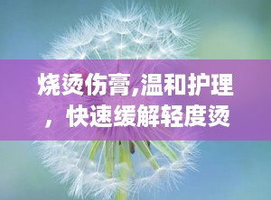 烧烫伤膏,温和护理，快速缓解轻度烫伤的必备良药